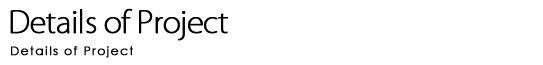 Details of Project